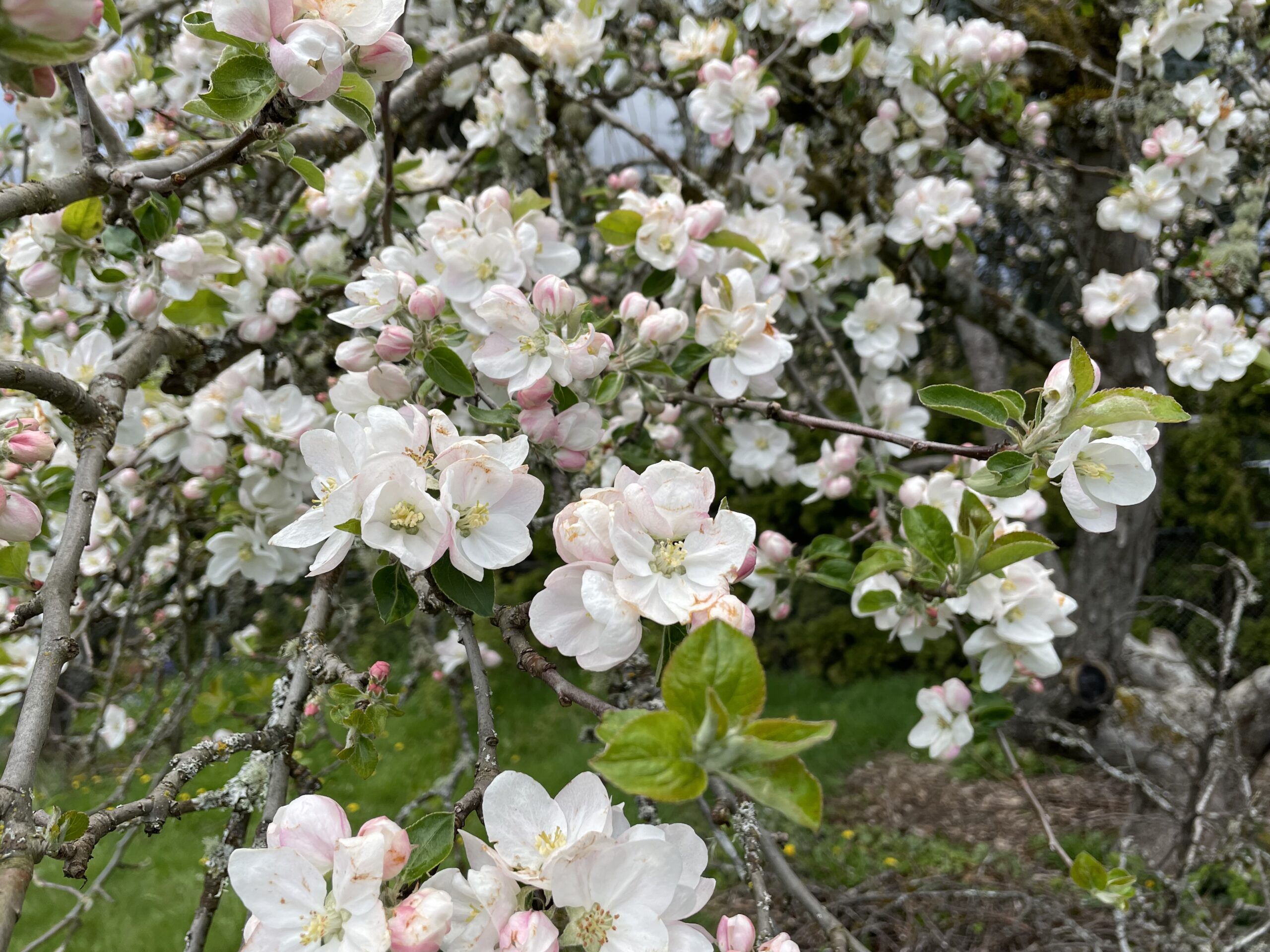 How I learned stop being scared of getting it wrong