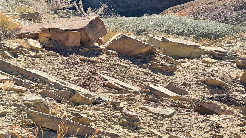 You May Need Healing, but You Don’t Need to Be Fixed