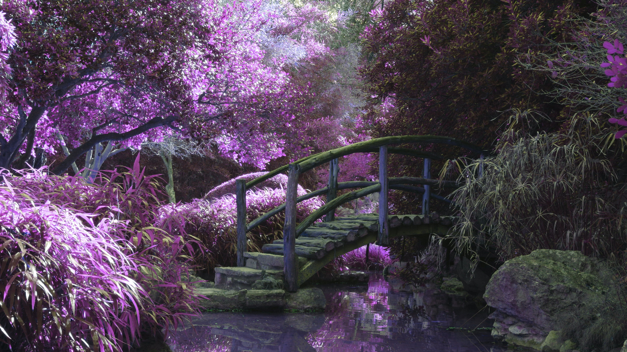 Dreams speak the language of symbol, and so can you