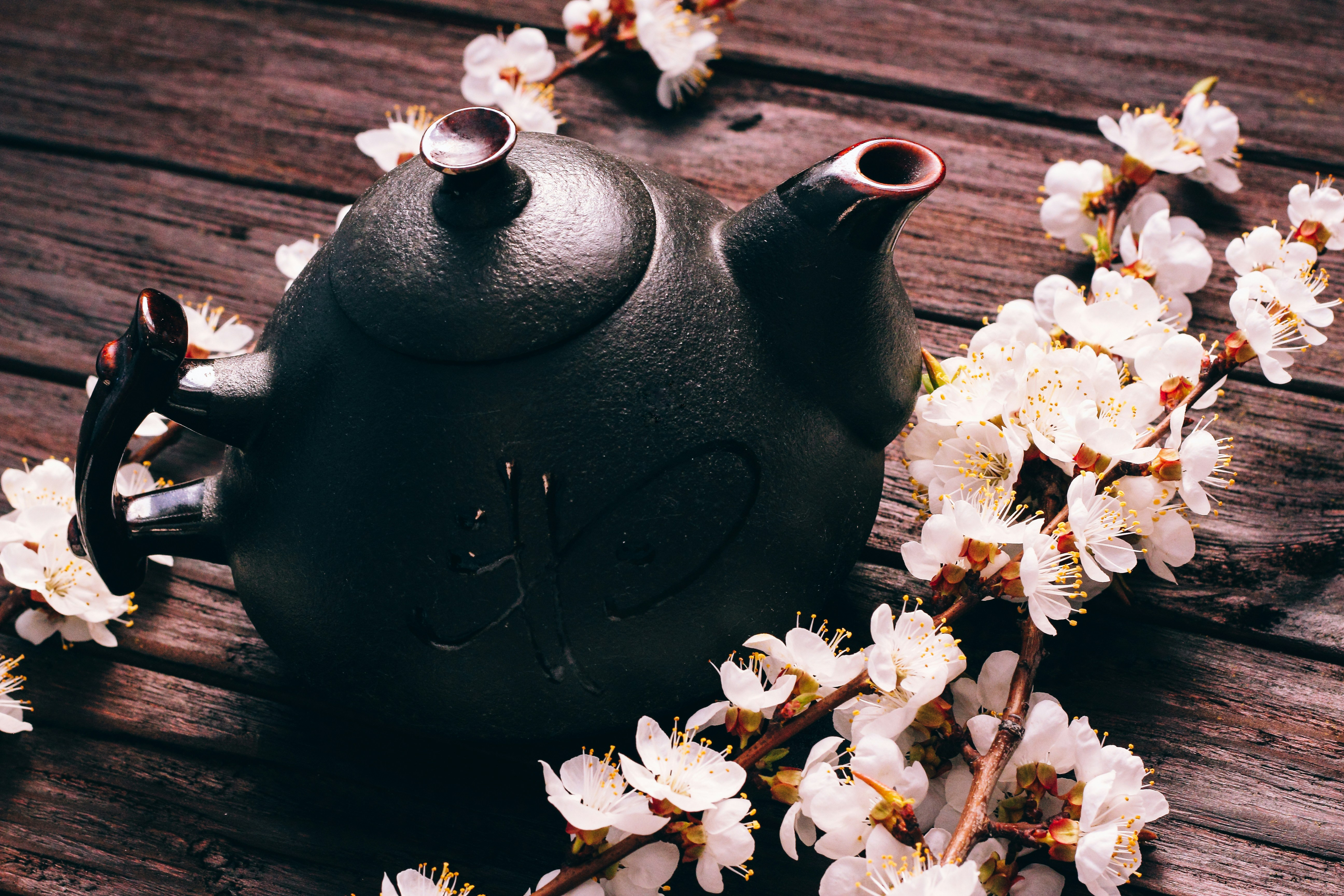 Glowing glass tea kettle cropped flipped image from Photo by stasyabis on Unsplash